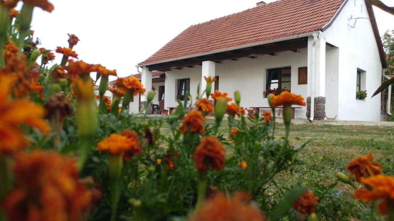 Oncsa Vendeghaz Hotel Gyongyos Exterior photo
